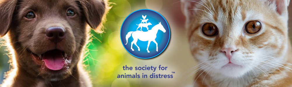 The Society for Animals in Distress main banner image